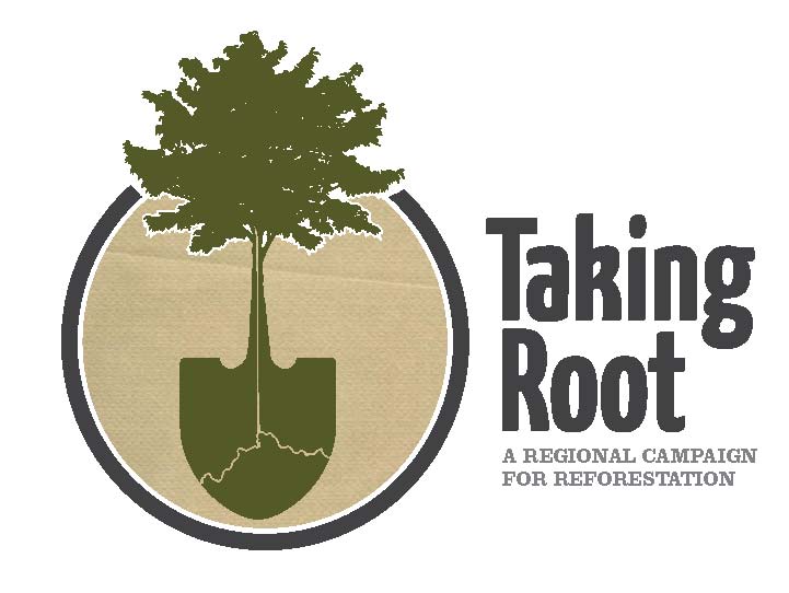 Taking Root﻿